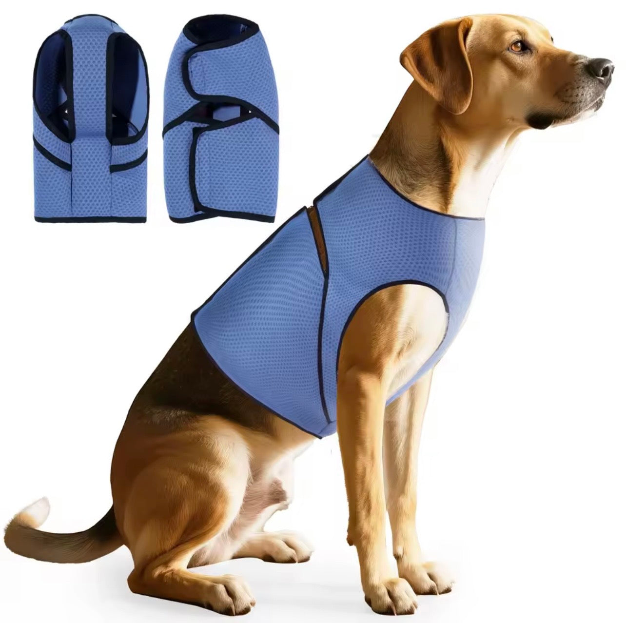 The LuminaPaw Cooling & Calming Vest