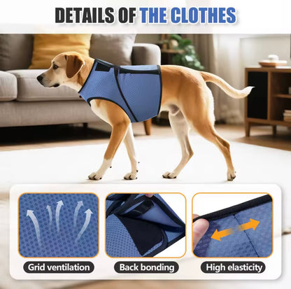 The LuminaPaw Cooling & Calming Vest